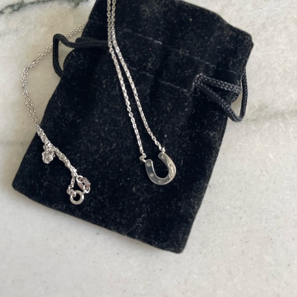 ‘Carrie Bradshaw’ horseshoe necklace - Picture 4 of 4